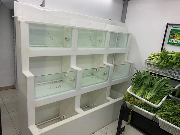 塑料製品魚缸