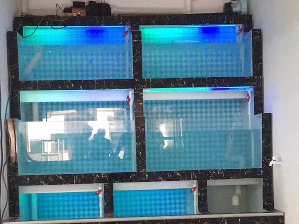 海鮮池定製