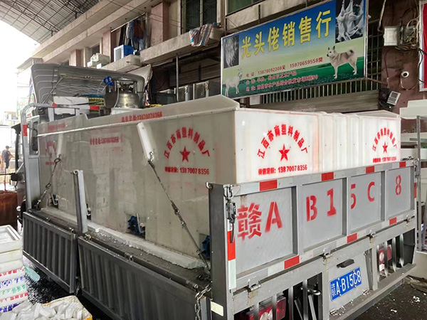 PP塑（sù）料（liào）保溫魚箱