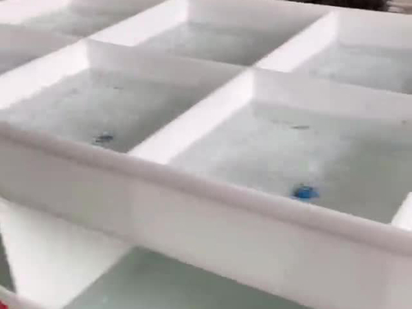 視頻展示
