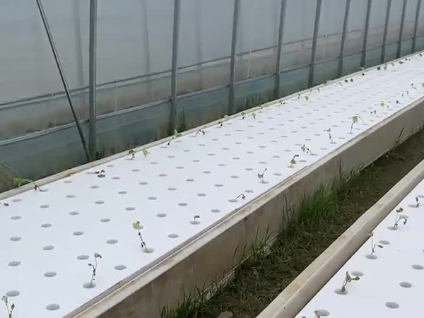 視頻展示