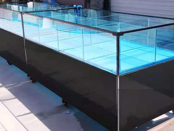 海鮮池魚缸 定製