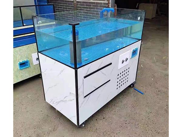 海鮮池魚缸 定製
