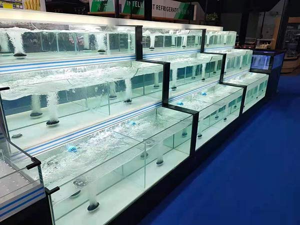 海鮮池魚缸 定製