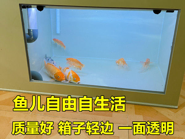 暫養池