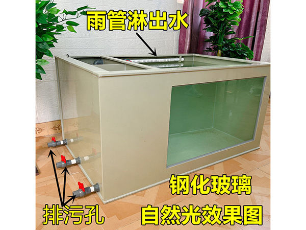 暫養（yǎng）池