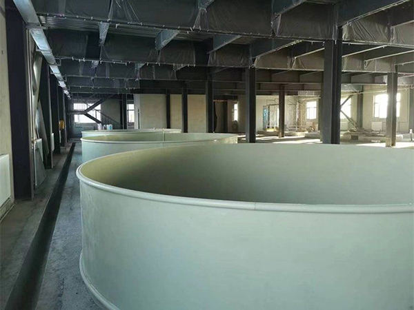 圓桶養殖
