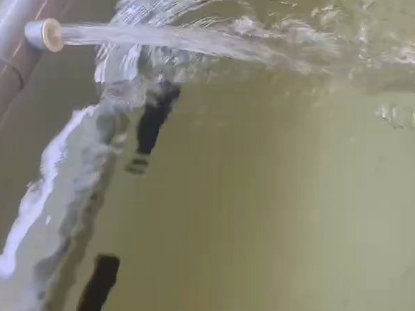 澳龍（lóng）暫氧池 室內養殖區 活（huó）魚箱養殖