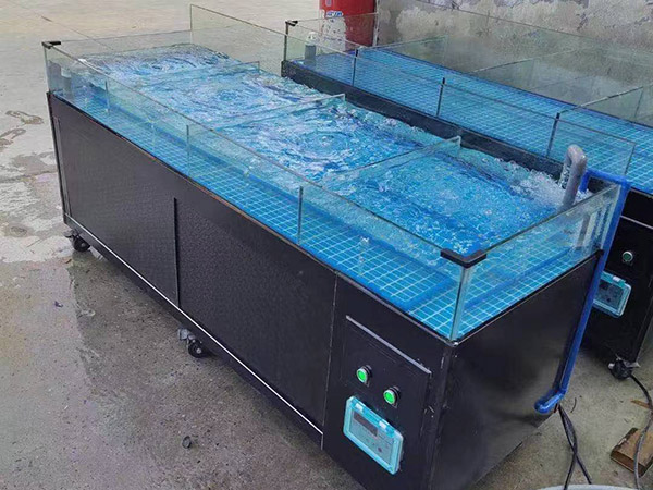 海鮮（xiān）池  海（hǎi）鮮魚缸  酒店魚缸